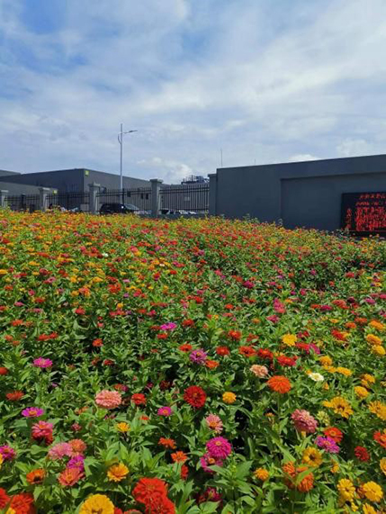 花开荆门 人聚汉瑞_bevictor伟德官网 -神经药物生产基地